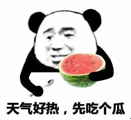 好哥吃瓜团