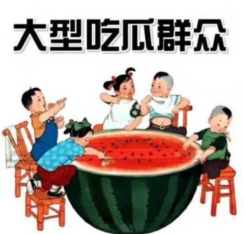 理性吃瓜欢迎反驳