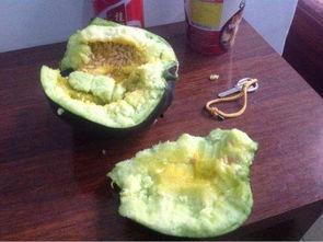 农村吃瓜炸裂,揭秘乡村夏日狂欢背后的故事