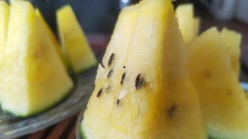 吃瓜访问密码,探寻网络世界的神秘面纱