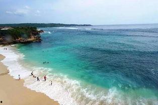 巴厘岛命案吃瓜  第1张