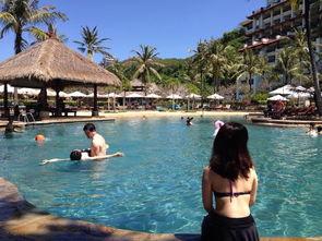 巴厘岛命案吃瓜  第2张