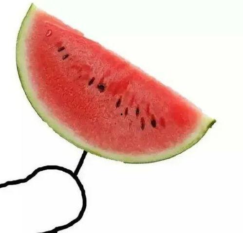 吃瓜之心不可无  第3张