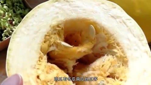 吃可以拉丝的瓜,揭秘那些能拉丝的神奇瓜果  第2张