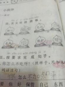 吃瓜落如何造句,揭秘娱乐圈的幕后故事