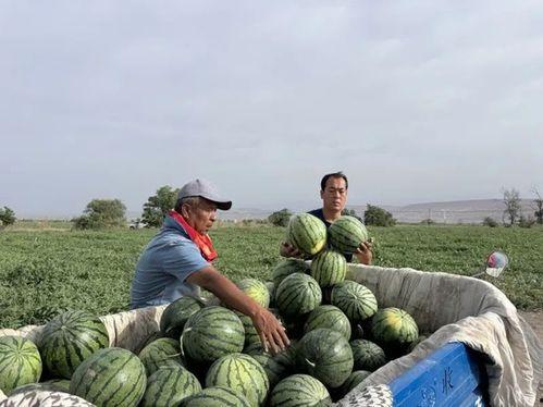 邵阳吃瓜录,揭秘当地特色美食背后的故事  第2张